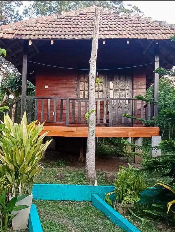 Eco Cabanas Marakolliya Tangalle Rom bilde